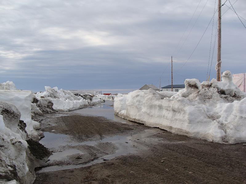 Alaska 2008 114.jpg